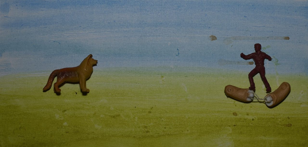Two bears facing each other in a grassy field under a blue sky.