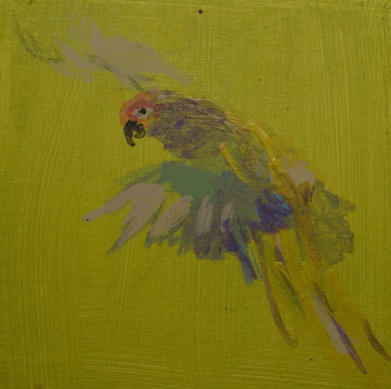 Abstract painting of a colorful parrot on a green background.