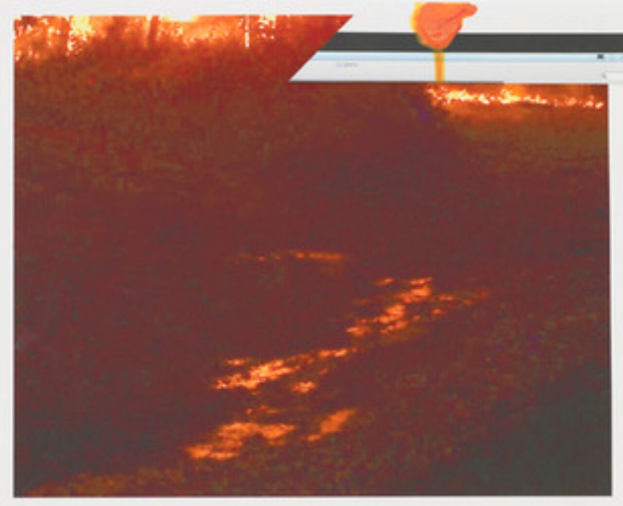 Sunset casting golden light over a quiet river and trees.